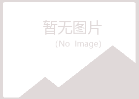 阜新新邱女孩美容有限公司